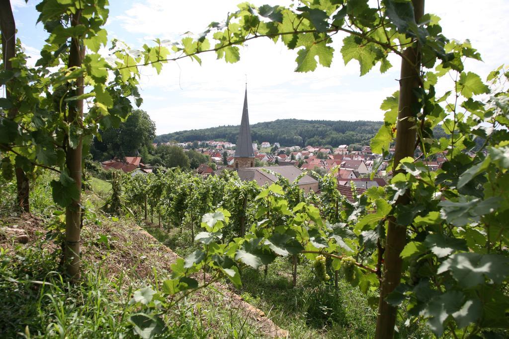 利奥姆和哈森酒店 Mühlhausen 外观 照片